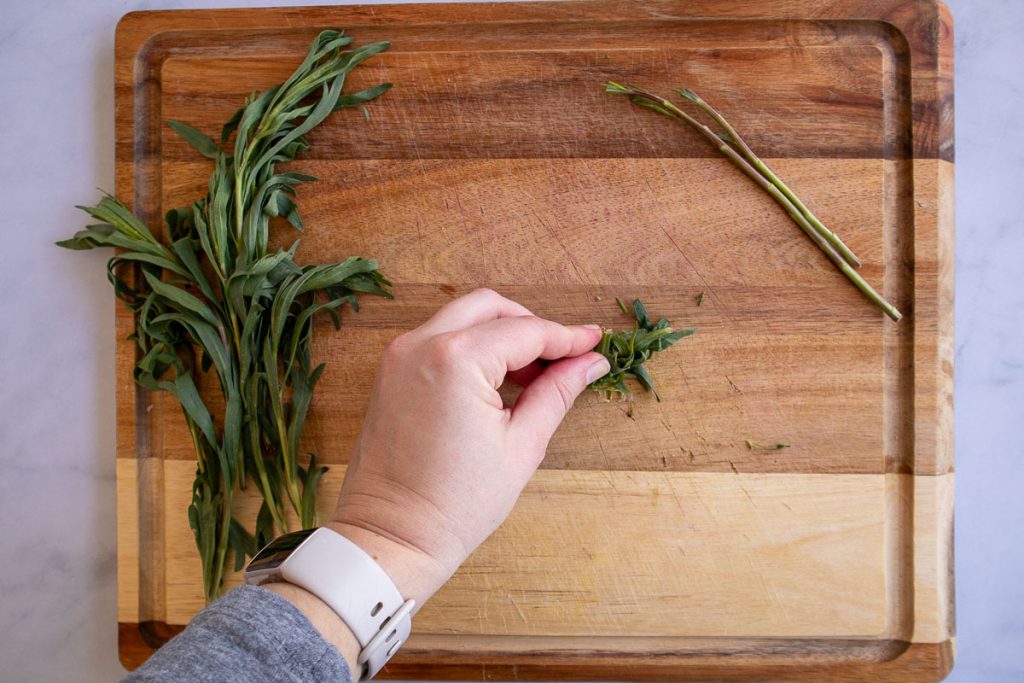 A wooden cutting board with some fresh tarragon on it. There is a hand holding a bunch of tarragon leaves against the cutting board, before chopping.